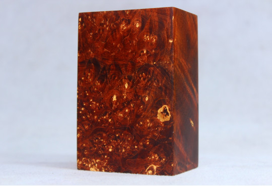 Stabilized Maple Burl Wood Mod Block